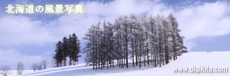 北海道の風景写真